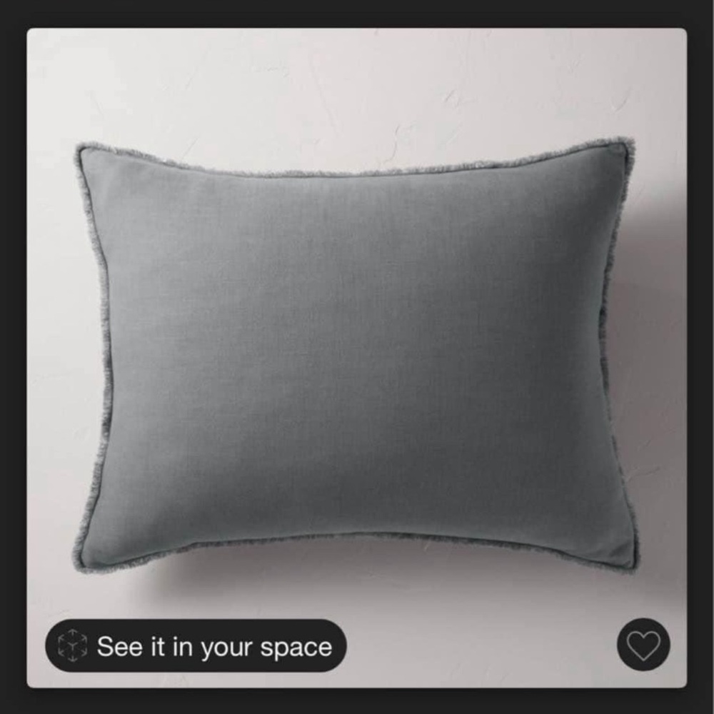 Two Throw Pillows